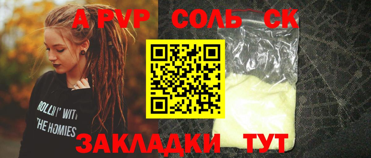 A PVP СК КРИС Петровск