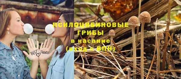 MESCALINE Мегион