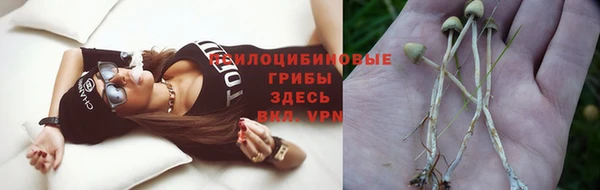 эйфоретик Магадан