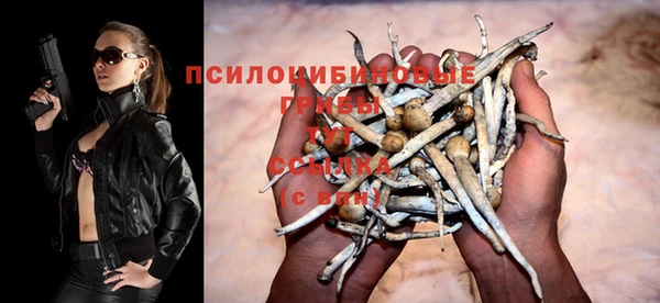 тгк Михайловка