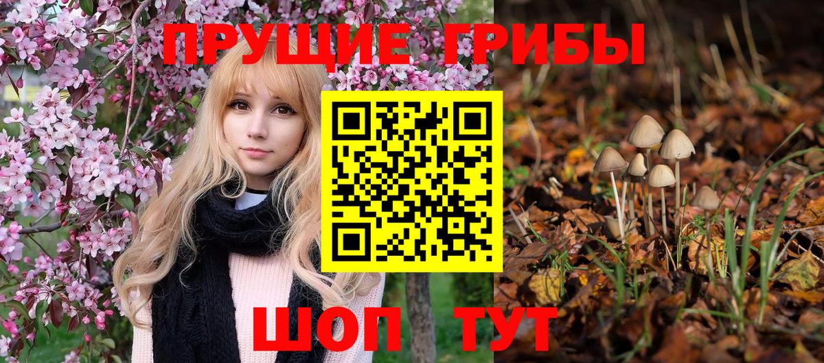 Петровск  Псилоцибиновые грибы мухоморы  Вход с VPN 