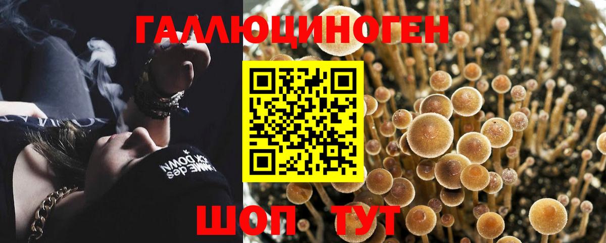 Галлюциногенные грибы ЛСД Петровск